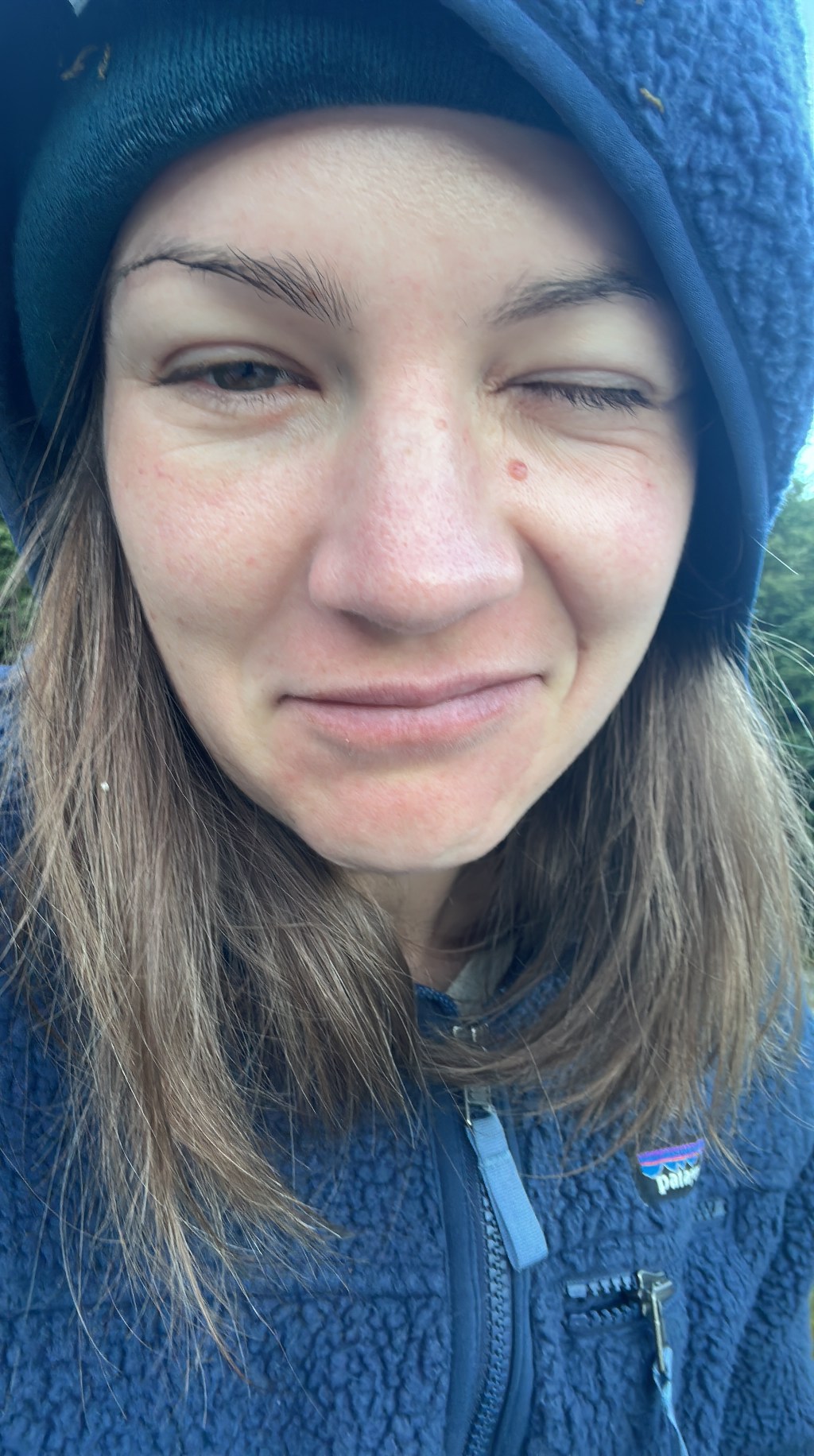 Mt Rintoul Hut to Mid Waiora&nbsp;Hut