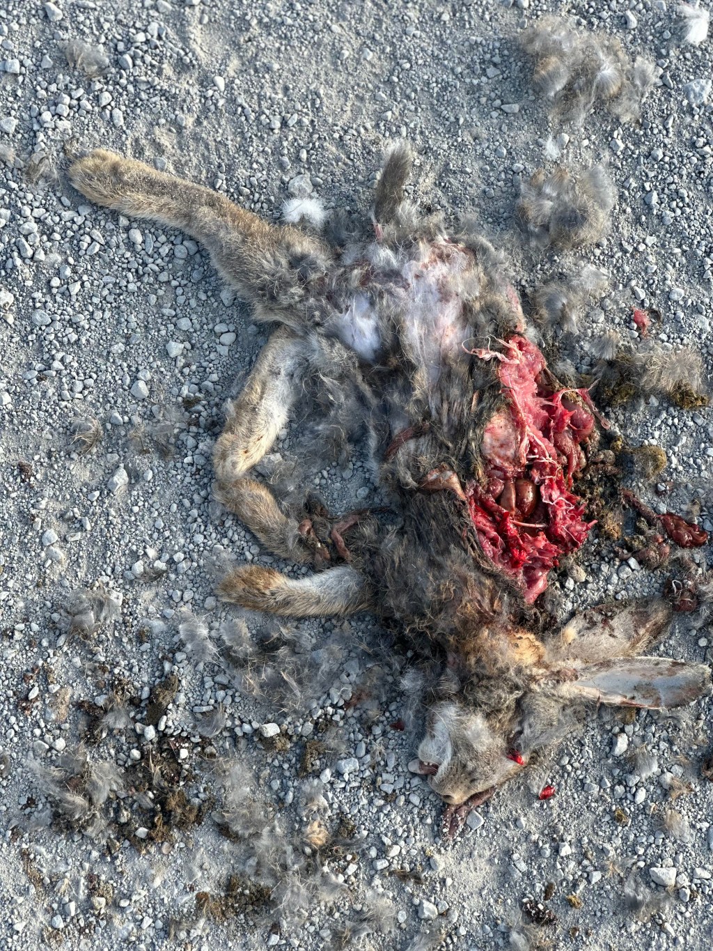 Creepiness to Meth&nbsp;Town