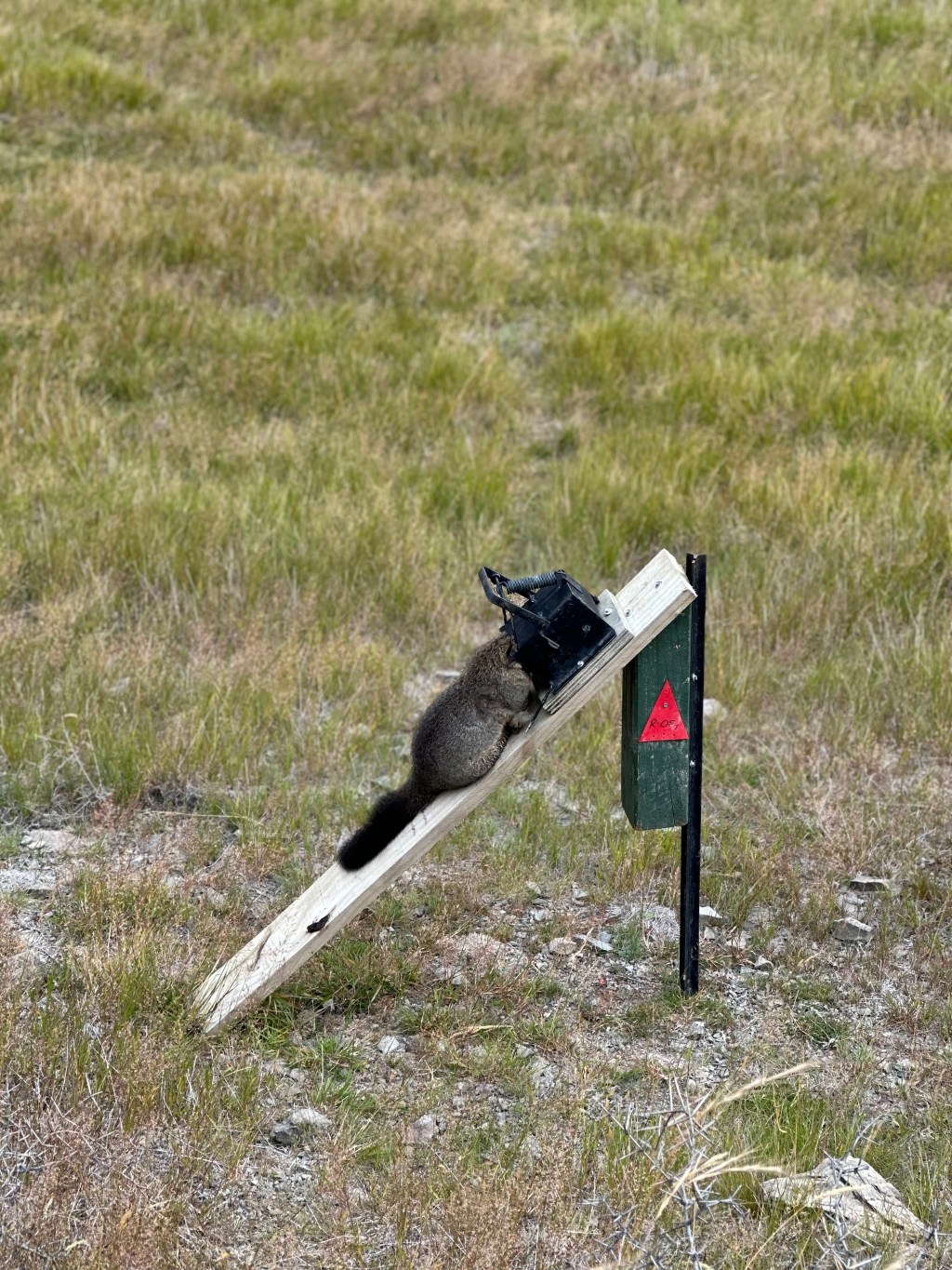 Comyns Hut to Manuka&nbsp;Hut