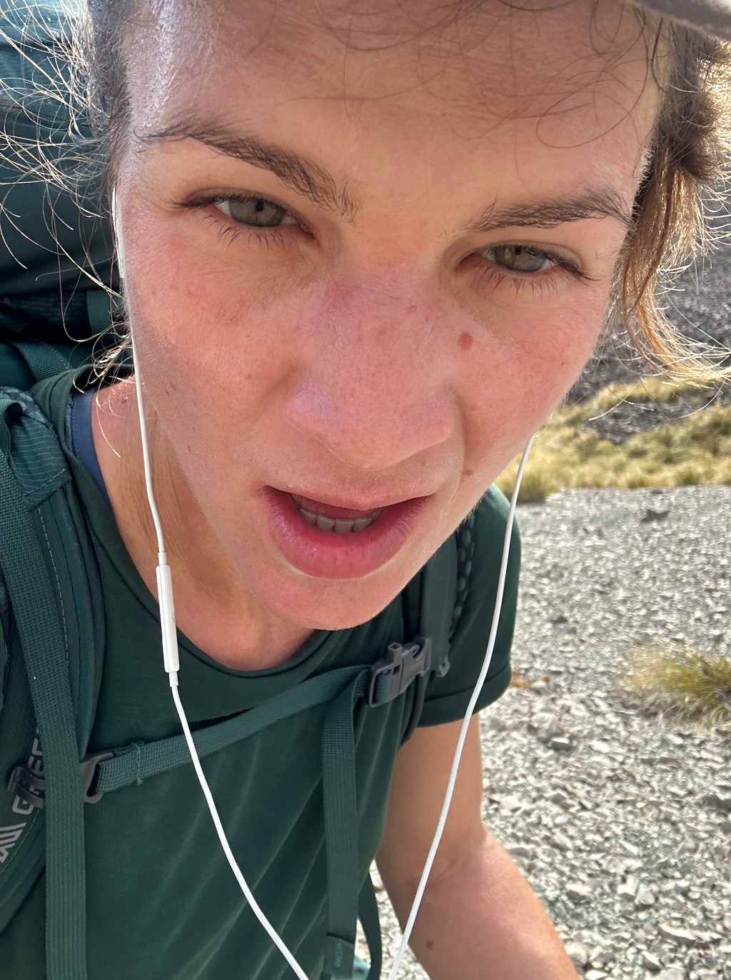 Crooked Spur Hut to Royal&nbsp;Hut