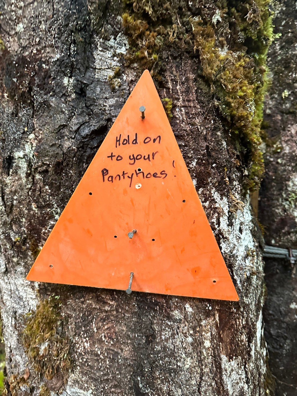 Hurunui Nr 3 to Locke Stream&nbsp;Hut