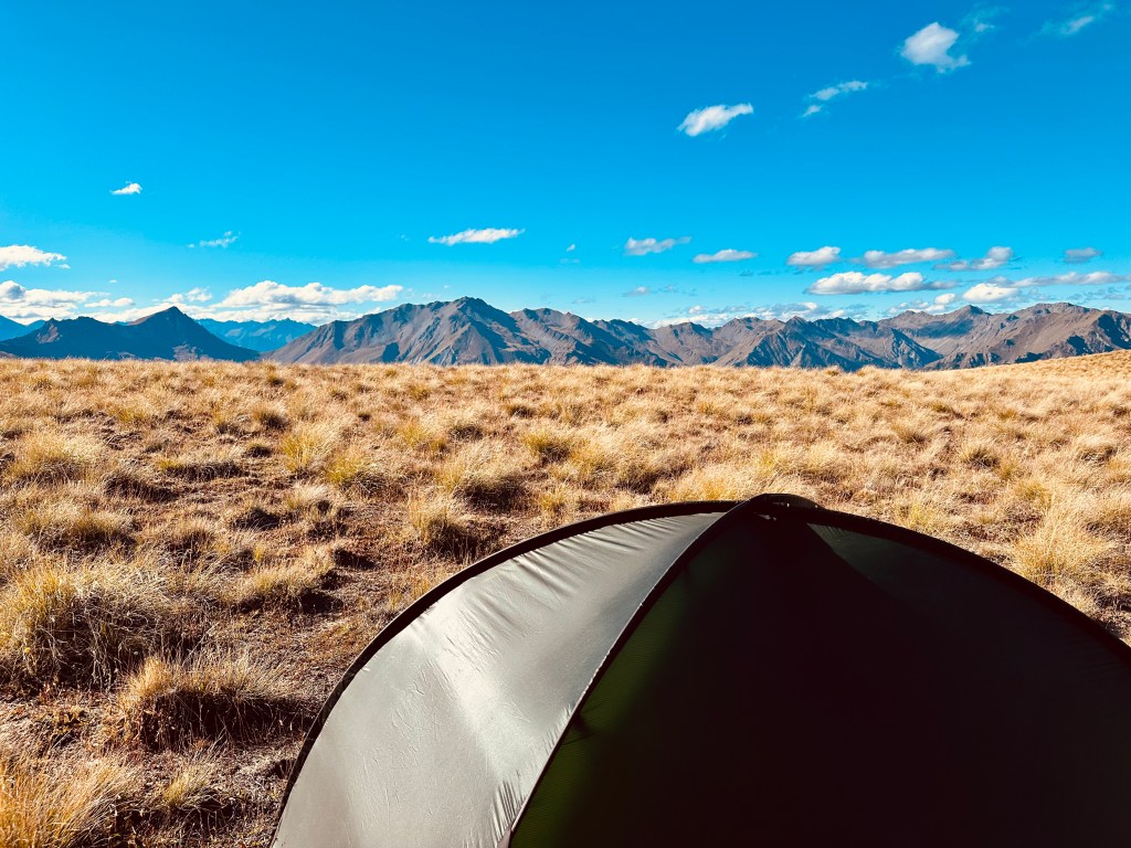 Wild 1 to Wild&nbsp;2