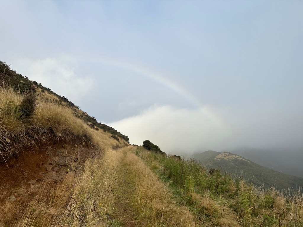 Telford Campi to&nbsp;Birchwood