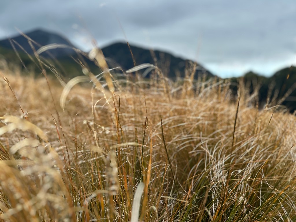 Te Anau to Apamira&nbsp;Hut