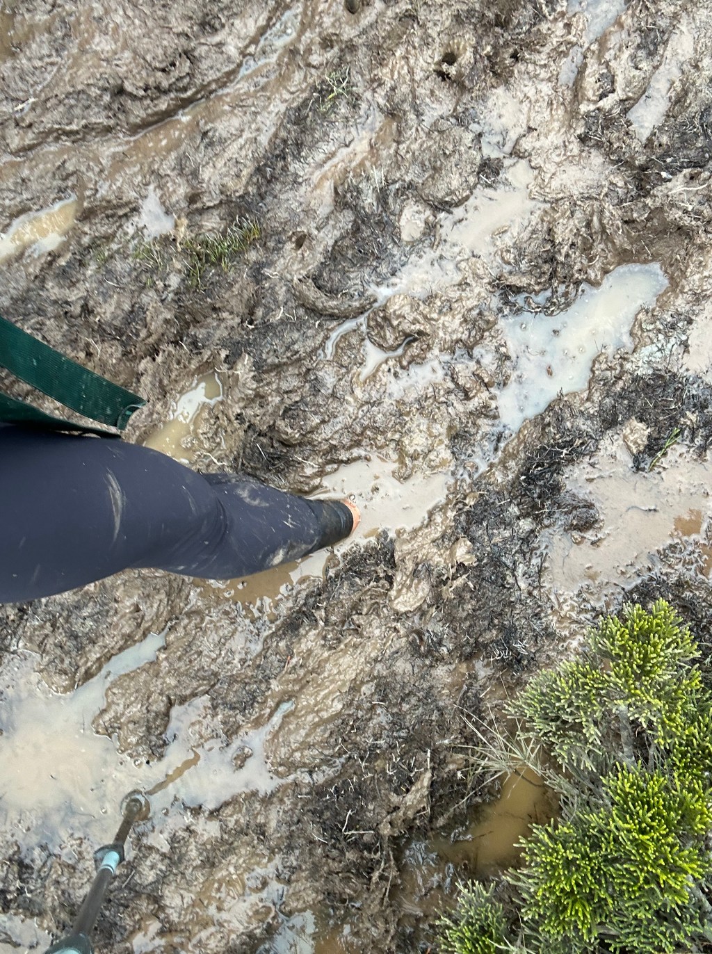 Merriview Hut to Martins&nbsp;Hut