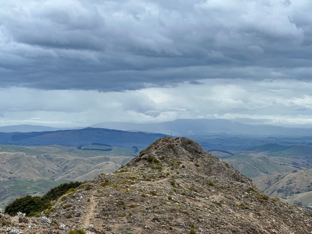Apamira Hut to Telford&nbsp;„Campsite“